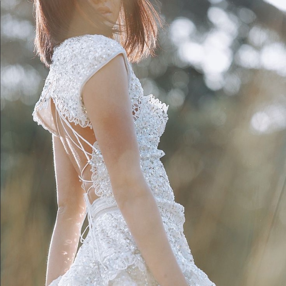 IXIAH x Free People Lacuna Sequin 4 | Sm Silver White Lace Overpiece Tie Top - Picture 8 of 13